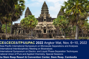 APCE-CECE-ITP-IUPAC, Angkor Wat, Cambodia
